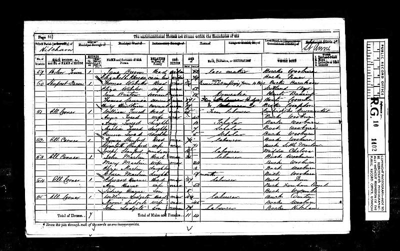 Tweed (Hannah nee Rippington) 1871 Census